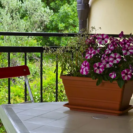 Guest house Keser 4*